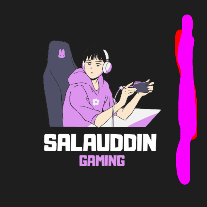 salauddin s gaming