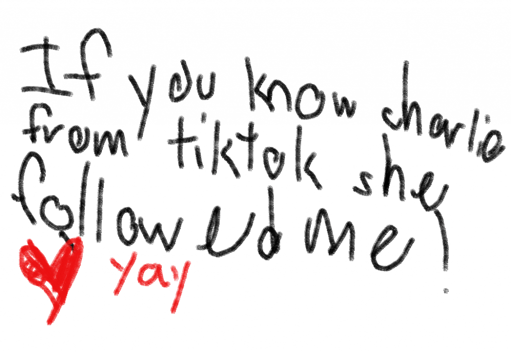 Charlie&#8217;damelio followed me in