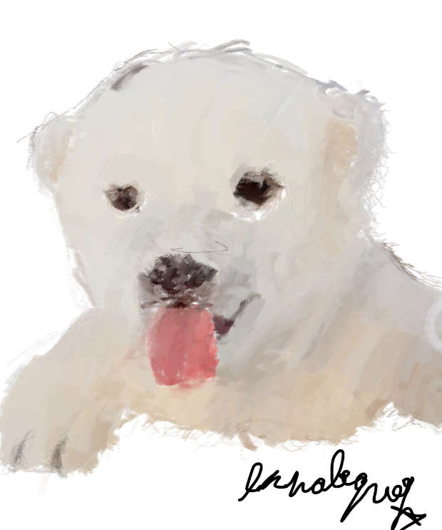 Cuddly polar bear made with block color!