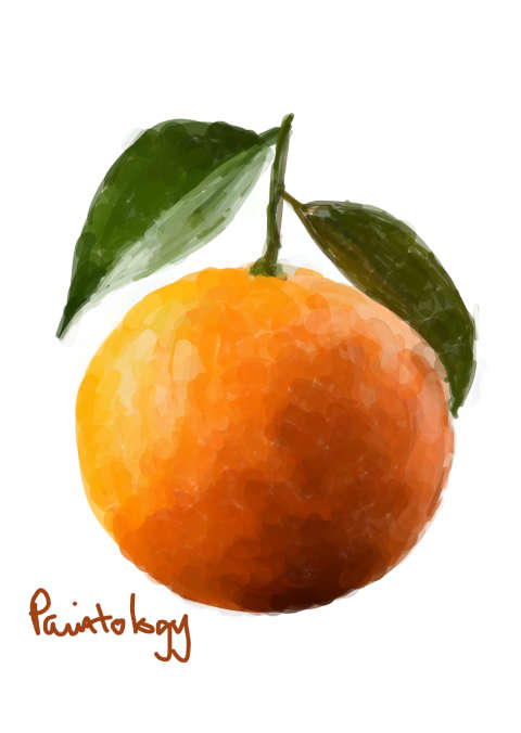 Watch video - How to draw a realistic orange