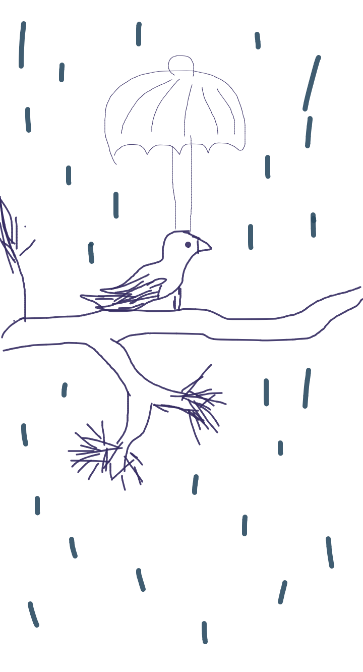 #bird in the rain