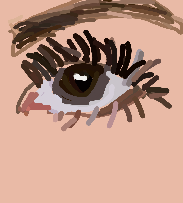 human body structure