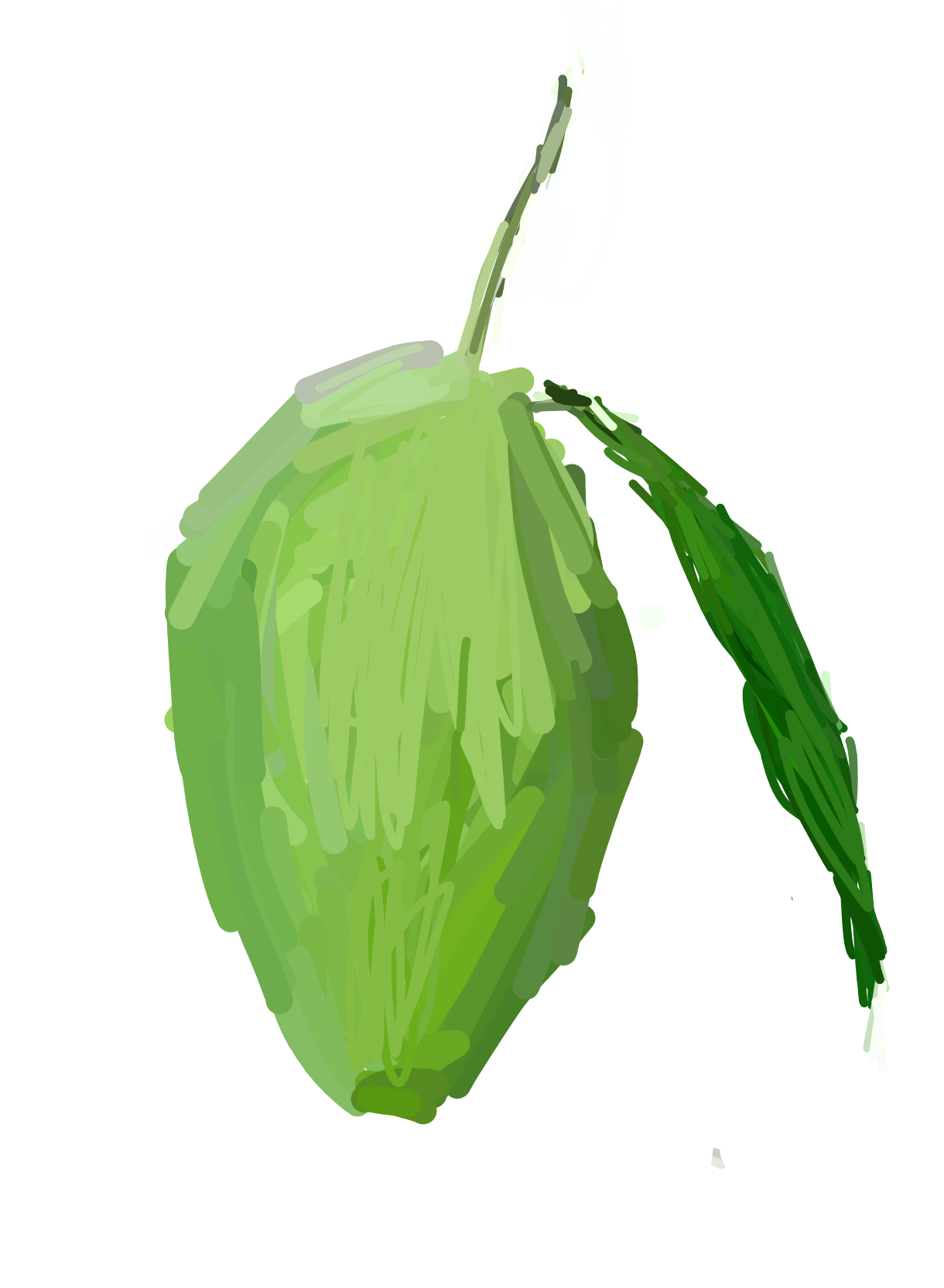 green mango
