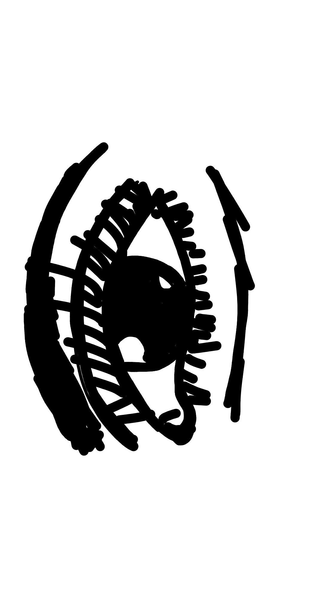 My fre.
E hand drawing