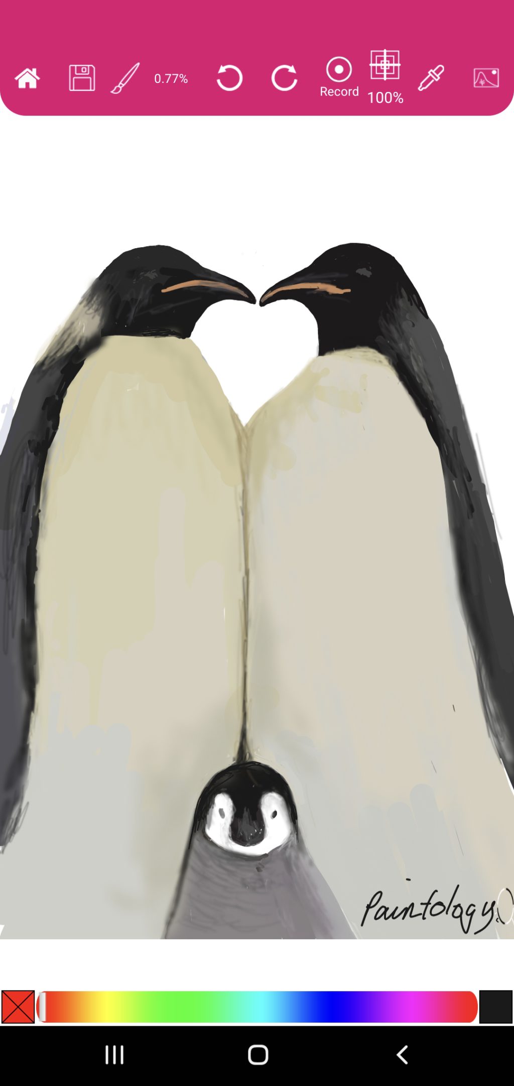 Penguins in love!