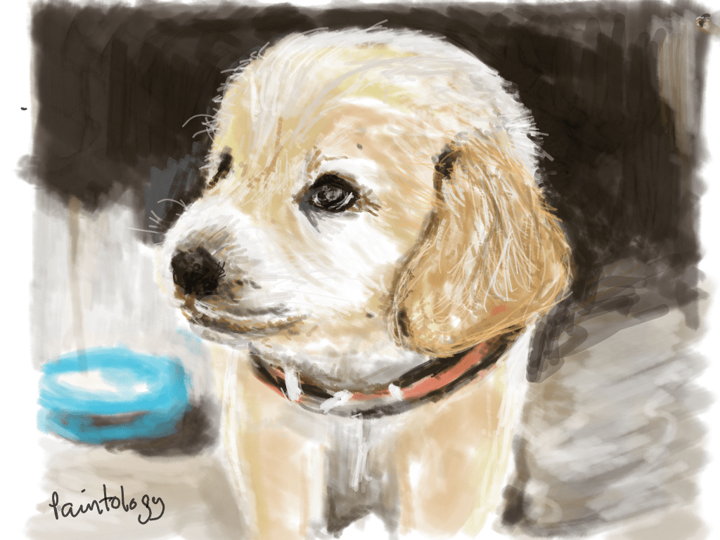 puppy drawn with paintology