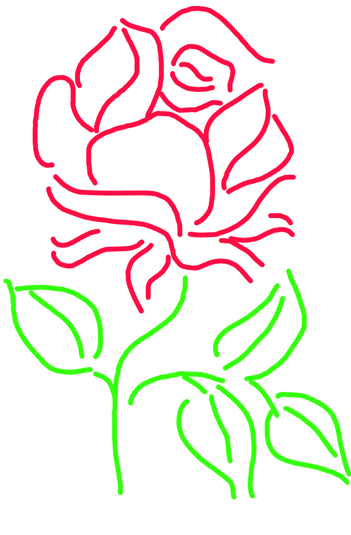 Flower Drawing