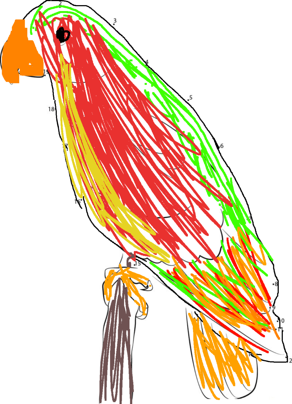 My rainbow parrot