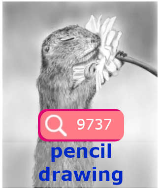 Another pencil drawing