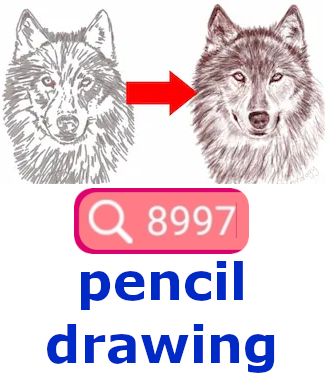 Do pencil drawing of wolf