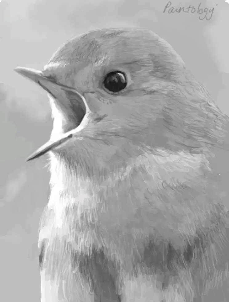 Photorealistic drawing created with the Paintology app in pencil mode.