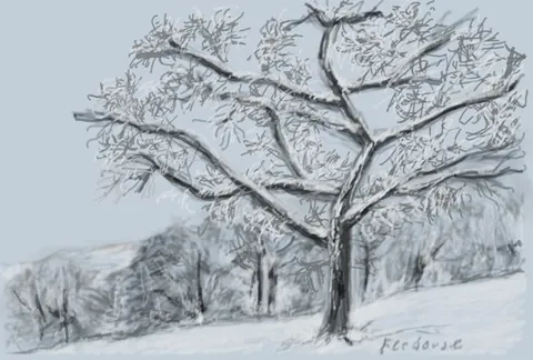 Beginners Digital Painting Course - Lesson 2