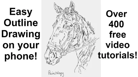 Learn to draw an outline / Improve drawing with Paintology