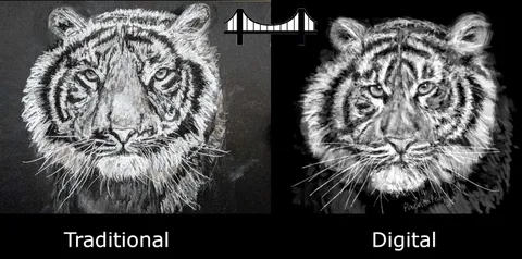 The Bridge between Traditional & Digital Drawing