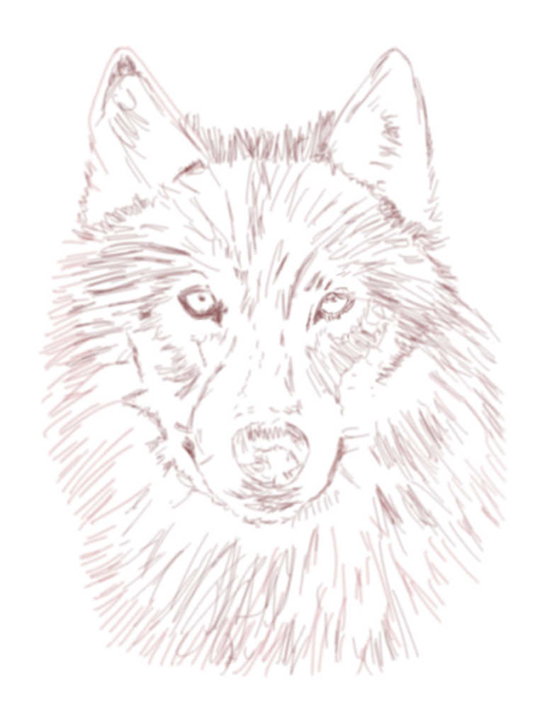 tutorial-image