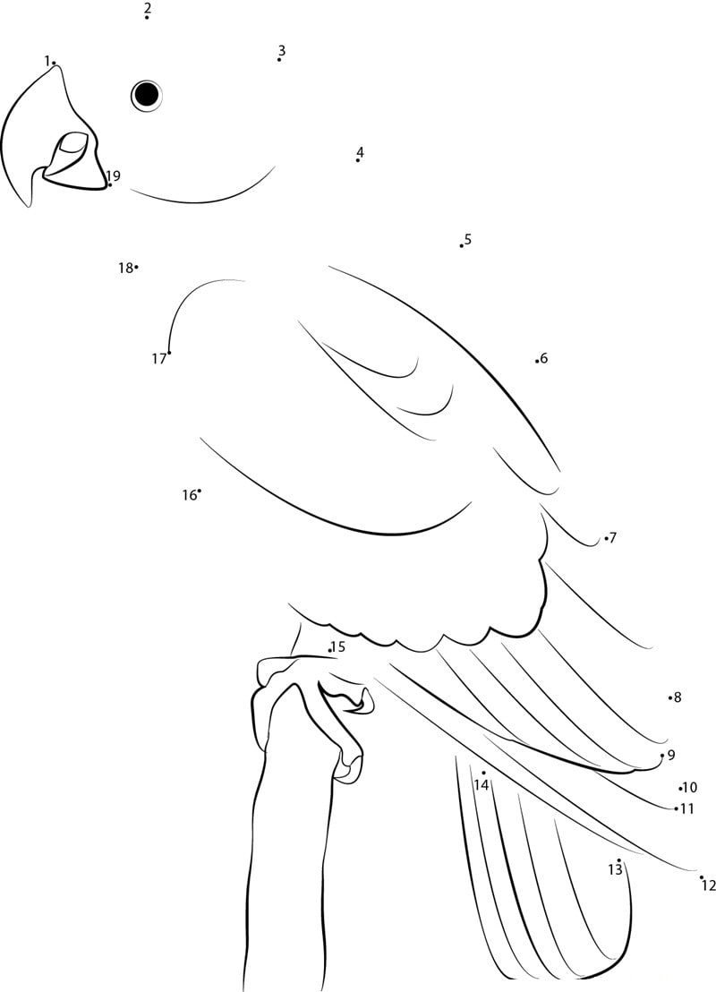 tutorial-image