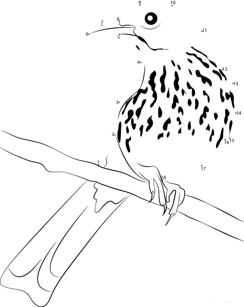 tutorial-image