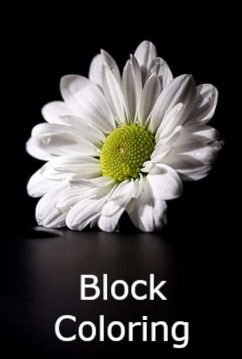 tutorial-image