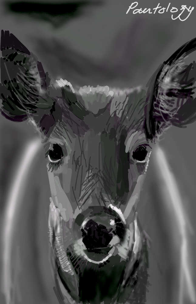 tutorial-image