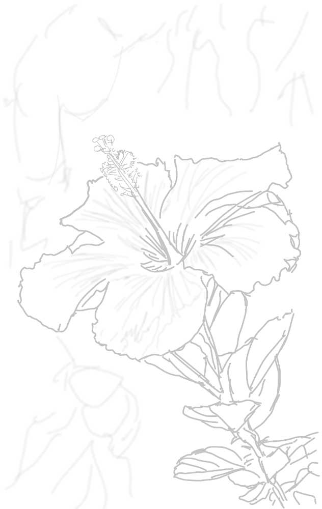 tutorial-image