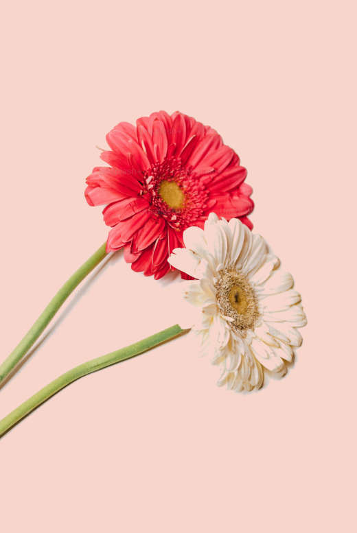 tutorial-image