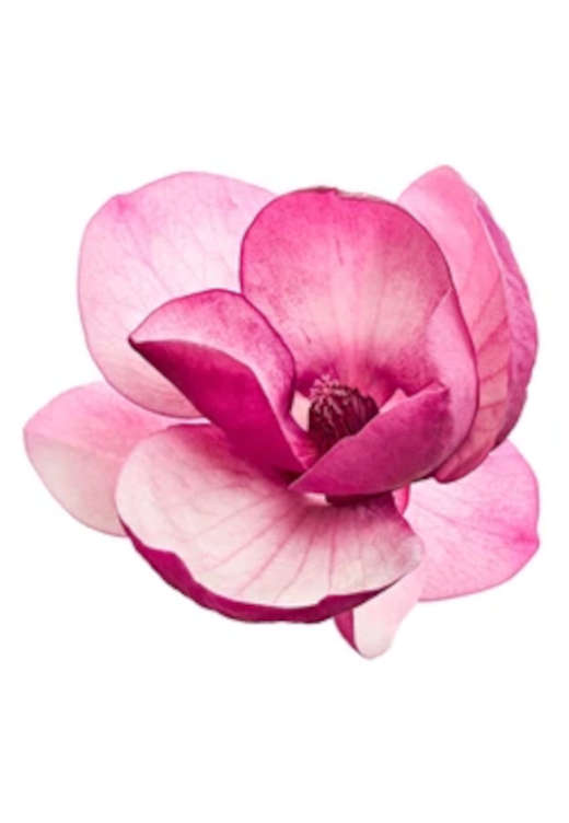 tutorial-image