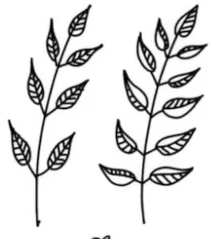 tutorial-image