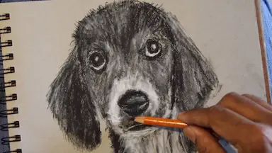tutorial-image
