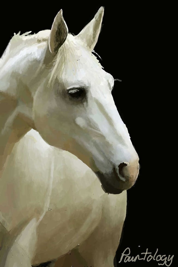 tutorial-image