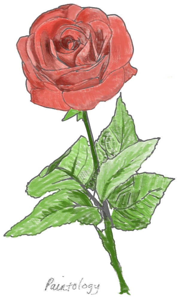 tutorial-image