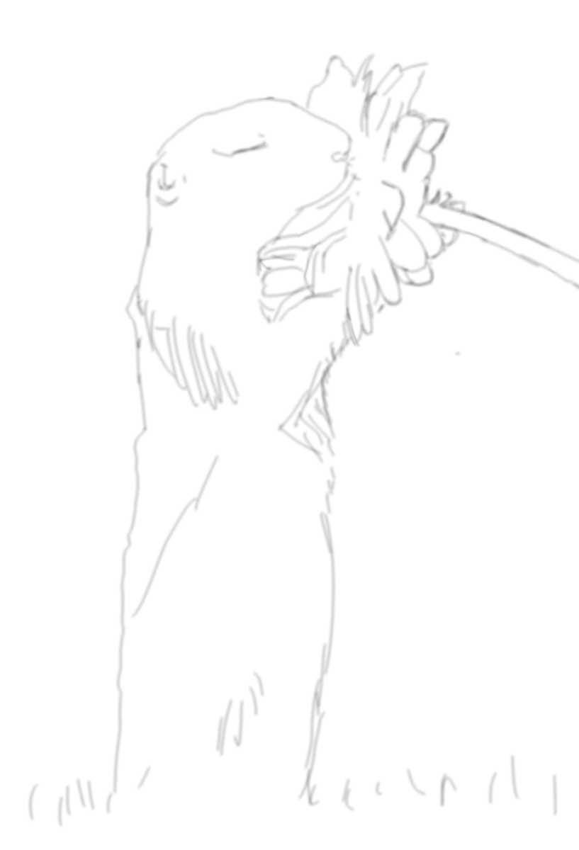 tutorial-image